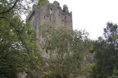 Blarney Castle