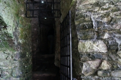 Blarney Castle