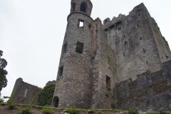Blarney Castle