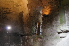 Blarney Castle