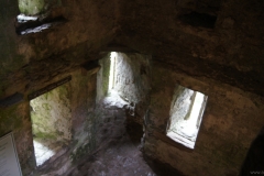 Blarney Castle