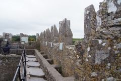 Blarney Castle