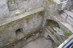 Blarney Castle