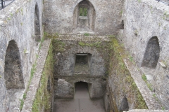 Blarney Castle