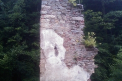 Kartäuser-Kloster Zice