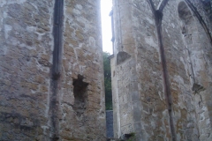 Kartäuser-Kloster Zice