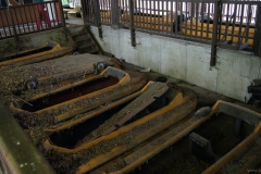 Boote der Wildwasserbahn