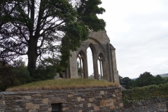 Valle Crucis Abbey